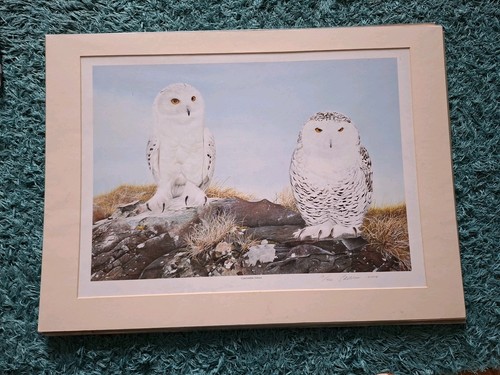 Limited edition print - limited,